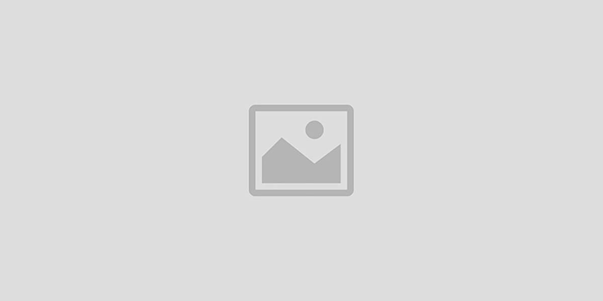 BDBSE Online Shopping System promo